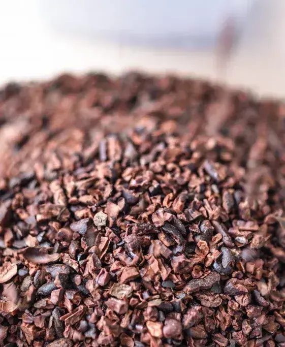 Bean to Bar