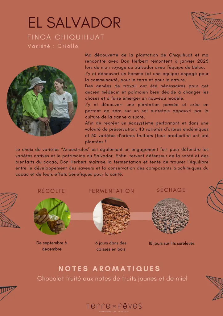 Fiches Synthèses Cacao.webp