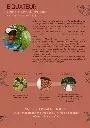 EQUATEUR-724x1024.webp